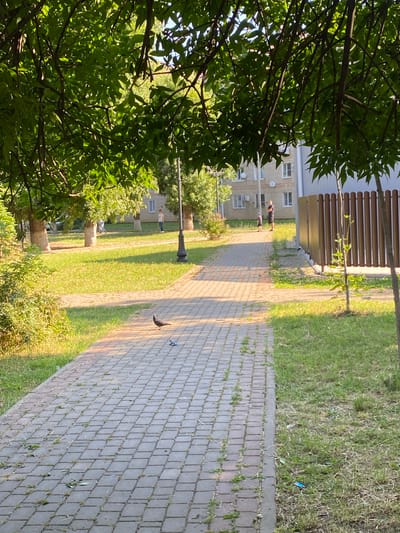 This image depicts a paved pathway in a grassy area, likely a park or residential courtyard, in the city of Zapadny, Russia. The pathway, constructed of gray interlocking pavers, runs diagonally across the frame from the foreground towards the background. To the left of the pathway is a patch of green grass with scattered leaves and some overgrown vegetation. To the right, the grass is sparser and drier, bordering a brown wooden fence. In the middle ground, a single pigeon stands on the pathway. Further back, there is a lamppost and several trees with lush green foliage, casting shadows on the grass. Beyond the trees, a multi-story residential building with visible windows is situated. In the distance, two individuals, appearing to be an adult and a child, are standing near the building, and another person is walking away from the camera on the pathway. The scene is illuminated by sunlight, suggesting it is daytime.