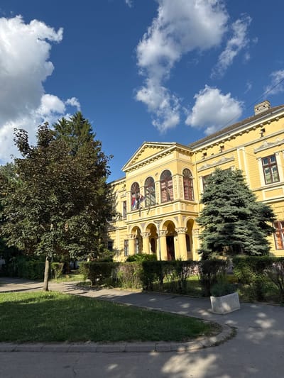 The image presents a bright yellow, multi-story building with classical architectural characteristics, situated in Becej Municipality, Serbia, under a clear blue sky with scattered white cumulus clouds. The building's facade is adorned with arched windows, some featuring dark frames, and a prominent central section includes a balcony from which two flags are displayed, one being the national flag of Serbia. The ground floor features arched entryways supported by columns with ornate capitals. A tiled roof and a stone chimney are visible on the right side of the building.

In the foreground and mid-ground, a variety of vegetation is present. To the left, a deciduous tree with dark green and reddish leaves stands, casting shadows across the paved areas. Behind it, a taller, dark green coniferous tree is visible. To the right of the building's main entrance, a dense, blue-green coniferous tree (likely a spruce or fir) occupies a significant portion of the mid-ground. Trimmed dark green bushes form hedges along the building's perimeter and pathways. Patches of vibrant green grass, interspersed with small white flowers, are visible in the foreground.

Paved pathways, light gray in color, weave through the scene, separated by a concrete curb from a darker paved surface in the immediate foreground, possibly a street or parking area. A rectangular, light-colored concrete planter containing small green plants is located on one of the paved sections in the mid-right. The scene is illuminated by direct sunlight from the upper left, indicated by the distinct shadows cast by the trees and bushes onto the ground and paved surfaces. No individuals are depicted within the image.