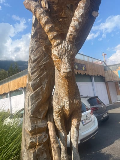 A large, weathered wooden carving of an ibex climbing a textured tree trunk dominates the central foreground. The carving exhibits detailed fur and muscle definition, with pronounced chisel marks. The ibex faces forward, its head slightly angled, and its right horn is visible extending upwards.

In the background, a multi-story building features a brown wooden facade over multiple white, vertically-paneled garage-style doors. A dark rectangular sign with light text and a yellow insect emblem is affixed to the wooden facade. Distant mountains are visible under a blue sky with scattered white clouds on the left.

Two automobiles are parked on an asphalt surface in front of the building. The front vehicle is a white hatchback with an Austrian license plate reading "IM 724 IF". Behind it, a dark grey hatchback displays a partially visible Swiss "BE" canton license plate. Green, tall grasses are present in the lower-left foreground. The scene is illuminated by direct sunlight, casting distinct shadows.

This location is identified as Bönigen, Switzerland, specifically in the vicinity of the Strandbad Bönigen and the local Tourist Information Center.