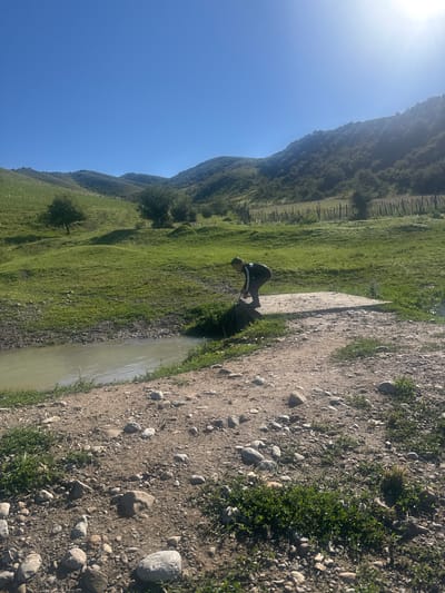 In the city of Kashka-Suu, Kyrgyzstan, a young person in athletic wear with dark stripes down the sleeves and legs is crouched down on a concrete slab that spans a narrow, calm body of water. The person is holding a stick, appearing to interact with the water. The slab is positioned on a dirt path littered with stones and small green plants. The path leads to the water's edge. Surrounding the water are grassy banks. In the background, rolling green hills dotted with trees rise towards a clear, bright blue sky. A rustic wooden fence runs along the crest of one of the hills. The scene is bathed in bright sunlight, casting shadows and highlighting the textures of the landscape.