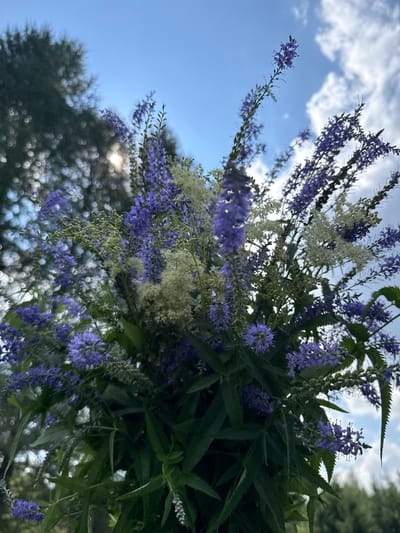A close-up, low-angle outdoor shot features a bouquet of wildflowers against a bright blue sky with scattered white clouds. The bouquet is dominated by tall, slender spikes of small purple flowers, interspersed with clusters of delicate white blossoms. Lush green foliage forms the base of the arrangement. In the background, out-of-focus elements suggest trees and sunlight filtering through them, creating a soft bokeh effect. The setting appears to be natural, possibly a field or garden, in Липовая I, Russia. There are no people or animals visible in the frame.