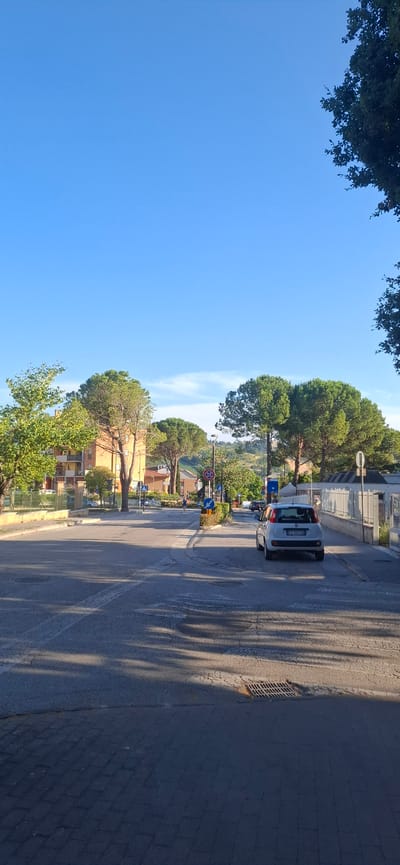 This is a vertical, eye-level, outdoor shot of a street scene in Tolentino, Italy. The sky is a clear, bright blue, indicating daytime with sunny weather. Lush green trees line the street, casting long shadows across the asphalt. Buildings with orange and yellow facades are visible behind the trees. A light-colored car, possibly a Fiat Panda, is parked on the side of the road. Traffic signs are present, including a circular sign with a red border and a horizontal bar, and a blue directional sign with an arrow. A metal grate, likely a drain cover, is visible on the pavement near the curb. The overall impression is a peaceful, sunny day in a residential area.