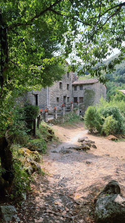 The image depicts a rustic stone building nestled within a lush, green environment. A gravel path winds its way towards the building, which appears to be constructed from rough-hewn stones. The structure has multiple windows, some with wooden shutters, and a tiled roof. A low stone wall with a wooden railing runs in front of the building, adorned with potted plants. The surrounding vegetation is abundant, with trees and bushes creating a natural, overgrown atmosphere. The ground is covered in gravel, fallen leaves, and exposed tree roots, suggesting a slightly untamed, natural setting. The sunlight filters through the leaves of overhead trees, casting dappled shadows on the path and ground. The overall impression is one of rural tranquility and historical charm. This location is identified as being in the city of Camprodon, Spain.