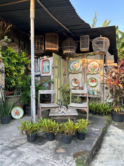 This is a vertically oriented, outdoor, eye-level shot of a rustic display against a building. The building appears to have a corrugated metal roof and side walls. The display is made of weathered, light green wooden shelves and framed elements, decorated with various objects.

Dominating the display are several round, decorative plates with floral patterns. Some are red and white, others green and white. There are also woven birdcages, some large and ornate, others smaller and more functional, hanging from the structure. Various potted plants, including leafy green varieties and spiky bromeliads, are placed on the shelves and on the ground around the display. One shelf features small bottles or containers. A woven bag rests on a lower shelf. A framed picture is visible on one section of the display, with what appears to be a blue and white scene. To the right of the display, several potted plants are lined up on a concrete path.

The overall scene has a charming, bohemian, or vintage aesthetic. The lighting suggests it is daytime, likely morning or afternoon, with sunlight casting shadows. The environment appears to be in a tropical or sub-tropical region, given the lush greenery and the type of plants. The concrete path and the somewhat unkempt nature of the surroundings suggest a humble, possibly rural or semi-rural location. No people are visible. No text is legible in the image. The location context provided is Banguntapan, Indonesia.