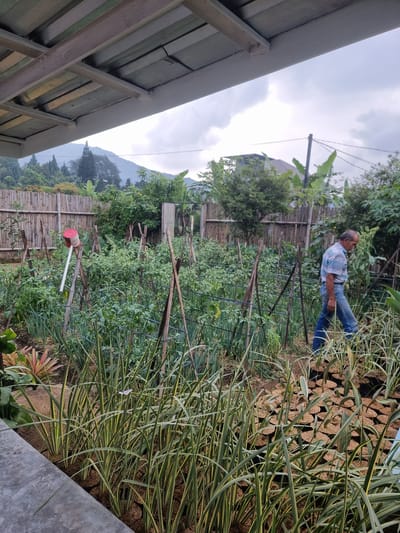 The image shows a garden in Sindangjaya, Indonesia. An older man wearing a light blue plaid shirt and blue jeans is standing to the right of a raised garden bed. Behind him are stacks of what appear to be planting pots filled with soil. The garden is enclosed by a bamboo fence with various plants and crops growing inside, supported by wooden stakes. Beyond the fence is a backdrop of trees and a distant mountain range under a cloudy sky. A corner of a covered structure is visible in the lower left of the frame.