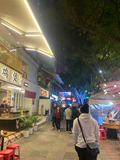 This image captures a nighttime street scene in 天宫殿街道, China, observed from behind a pedestrian. The paved thoroughfare is illuminated by artificial light sources.
On the left side of the street, multi-story commercial buildings are visible. These structures feature light-colored facades and are fronted by extendable awnings equipped with integrated LED strip lighting. Prominent signage in Chinese characters, including "鸡煲火锅" (Chicken Pot Hotpot), is displayed on one storefront. Further along, another sign reads "Sunny." An open-front food stall is operational, with a person standing behind a counter containing multiple dark pots. To the immediate left of the pedestrian path, potted palm plants in white containers are arranged on a low platform, adjacent to a small table holding a bowl of oranges and two red plastic stools.
The right side of the street is characterized by mature trees with dark foliage, some of which are adorned with blue string lights. An outdoor dining area is established under a light-colored canopy, illuminated by several spherical lights and partially enclosed by clear plastic sheeting. A woman is seated at a table within this area. Red stools are also visible.
Multiple pedestrians are present on the street, moving in various directions. In the immediate foreground, the back of an individual wearing a white hooded sweatshirt, dark trousers, and a black messenger bag is visible, walking away from the camera. Further down the street, a couple can be identified, with the woman wearing a red jacket. The distant background displays additional urban structures and ambient lights beneath a dark sky.