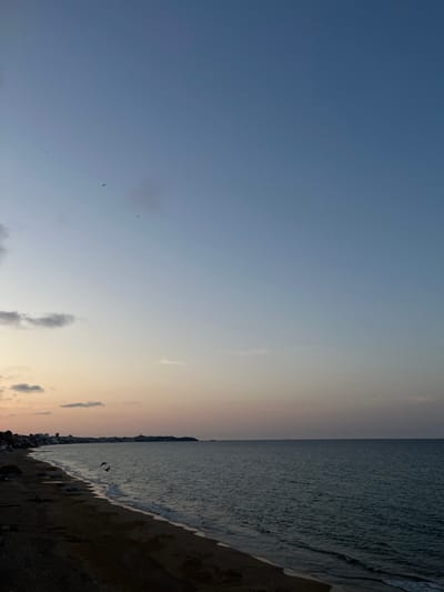 The image depicts a coastal scene in Ain El Turk, Algeria, during twilight. The sky occupies the upper two-thirds, exhibiting a gradient from deep blue at the top, transitioning to lighter blues, and then subtle pink and orange hues near the horizon line. Scattered, wispy clouds are visible, primarily in the upper-left quadrant. Multiple small, dark avian forms are distributed across the sky, with three more distinct birds in flight positioned above the mid-left coastline.
The lower third of the image shows the interface between land and sea. The ocean water, dark blue-green in color, extends from the right edge to the distant horizon, exhibiting gentle wave activity breaking upon a dark sandy beach. The beach curves from the lower-left foreground towards the center-right. Along the left side of the beach, several indistinct objects, possibly small boats or debris, are visible on the sand.
To the left of the beach, a developed urban coastline is visible, featuring a collection of buildings of varying sizes. Further in the distance, along the coast, a prominent headland or hill with a discernible structure, potentially a lighthouse or monument, marks the horizon line. No human figures are present in the frame.