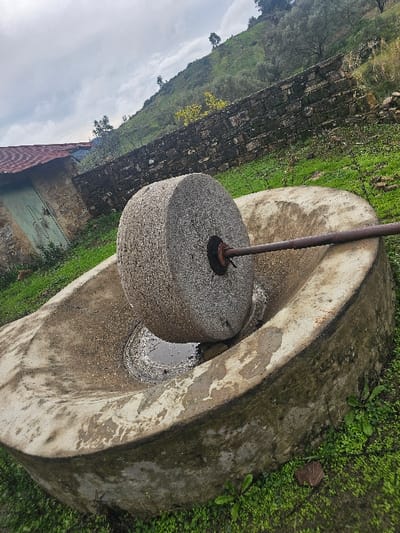 The image displays an outdoor olive oil press situated in Moqrisset, Morocco, under an overcast sky. A large, vertically oriented, coarse gray stone grinding wheel with a rusted central metal axle is positioned within an oval, weathered concrete basin in the foreground. Dark, viscous liquid and sediment are present within the basin, partially submerging the lower portion of the grinding wheel.

To the left, a rustic single-story building with a reddish-brown corrugated metal roof and a light green double wooden door is partially visible. Behind the press and building, a long, irregular stone wall composed of dark gray and brown blocks spans the mid-ground. Beyond the wall, a steep hillside covered in lush green vegetation, including grass, shrubs, and scattered trees, rises towards the cloudy sky. The immediate ground surrounding the press is covered with vibrant green grass and small plants. No individuals are present, and no active processes or interactions are observed.