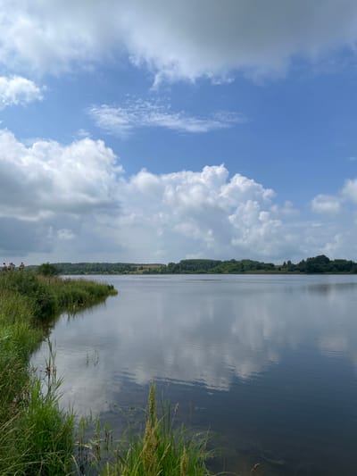 The image depicts a serene natural landscape with a large body of calm water reflecting the sky. On the left bank, lush green grass and reeds line the shore, with a few indistinct figures standing near the water's edge. In the distance, a dense line of green trees forms the opposite bank of the water body, with rolling hills and fields visible beyond the treeline. The sky is a vibrant blue, dotted with large, fluffy white clouds. The overall impression is one of tranquility and natural beauty, potentially a park or recreational area.