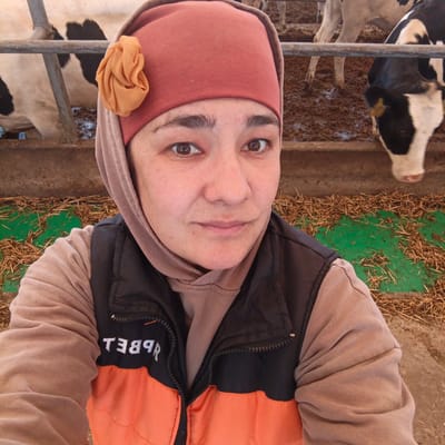 A woman with brown eyes and a light tan complexion is in a barn, possibly a cow farm, with cows visible in the background. She is wearing a reddish-pink hijab with a decorative orange flower on the side, and a brown hoodie underneath a black and orange vest. The vest has a zipper down the front, and white lettering that appears to be reversed and reads "REBBET". The background shows cows in pens with muddy ground and hay scattered around. The lighting suggests it is daytime. The woman's expression is neutral.