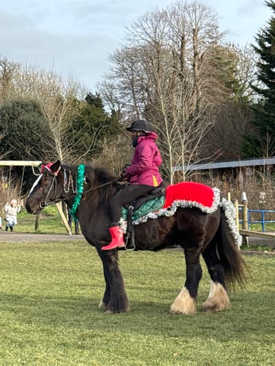 An individual is depicted riding a dark brown or black horse in a grassy field in Stanmer, United Kingdom, under a partially cloudy sky. The rider, positioned in profile facing left, wears a black riding helmet, a fuchsia jacket, dark trousers, and bright red boots. The horse is adorned with festive decorations: red ear bonnets, green tinsel around its neck, a red blanket over its back covering a green quilted saddle pad, and silver tinsel along its back and tail. The horse exhibits feathering on its lower legs, which are light tan on the hind legs. In the background, deciduous trees, mostly bare, and some evergreen trees are visible. To the far left, a wooden swing set is present with two small children in the distance. Further to the right, a low-slung building with a dark roofline is discernible.