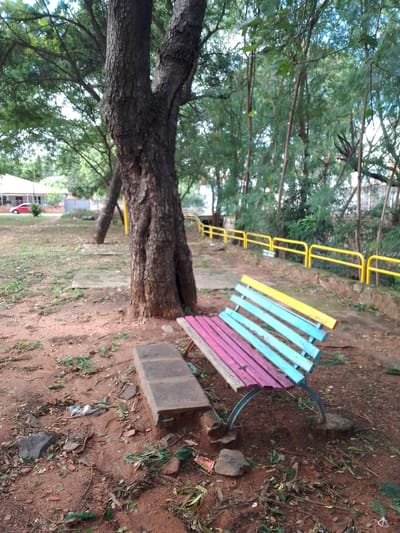 The image depicts a park setting in Asuncion, Paraguay. A large tree dominates the scene, its trunk positioned centrally. To the right of the tree, there is a park bench with multicolored planks—yellow, blue, and pink. The ground is covered with red soil, scattered with leaves, twigs, and litter. A concrete block sits to the left of the bench, appearing to serve as a part of the seating arrangement. In the background, a yellow metal railing borders a path, and beyond that, there are trees and greenery. A building and a red car are visible in the distance, suggesting the park is located near a residential area. The light indicates it is daytime, with some shadows cast by the trees. There is no sign of any human presence.