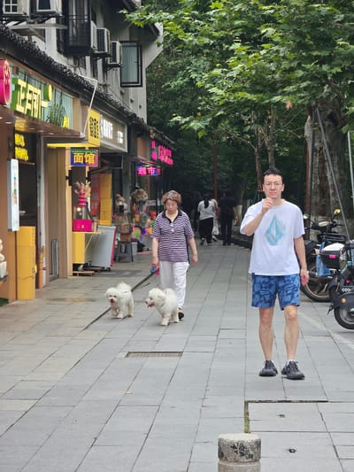 This image depicts a street scene in Xihu District, China. A man with glasses, wearing a white t-shirt and blue patterned shorts, walks towards the camera on a paved sidewalk. He is gesturing with his right hand. To his left, an older woman in a striped shirt and white pants walks away from the camera, holding a leash attached to two small white dogs that are walking ahead of her. The sidewalk is lined with buildings on the left, displaying various signs in Chinese, and trees on the right. Parked on the right side of the sidewalk are several electric scooters or motorcycles. The environment appears to be a commercial street with shops and pedestrian activity.