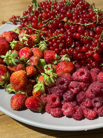A plate of fresh red currants, strawberries, and raspberries sits on a wooden surface. The berries are a vibrant mix of red and deep pink hues, with the red currants forming a dense cluster at the top of the plate, some still attached to their stems. Below them, strawberries are scattered, their textured surfaces and green tops visible. The raspberries are a darker, richer shade of red and fill the bottom portion of the plate. The background is a warm, grainy wooden surface, suggesting a rustic or natural setting. There are no people or animals present in the image, nor any indication of the city of Stepnogorsk city administration, Kazakhstan. The lighting is soft and appears to be natural, highlighting the fresh textures of the berries.