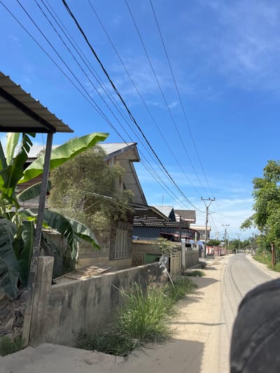 The image depicts a rural roadside scene in Dalam, Indonesia. The perspective is from a low angle, looking up at a bright blue sky with a few wispy clouds. A road, likely unpaved or dirt, curves into the distance, bordered by houses and vegetation. Power lines crisscross the sky, supported by wooden poles, indicating an established but likely modest infrastructure.

The houses appear to be a mix of concrete and corrugated metal construction, suggesting a tropical or subtropical climate. Some have multiple stories and balconies, while others seem simpler. Banana trees with their large, green leaves are prominent in the foreground, adding to the tropical feel. Tall grasses and other green foliage grow along the roadside and in patches between buildings.

The time of day appears to be daytime, likely mid-morning or early afternoon, given the bright sunlight and clear sky. The shadows are not overly long, and the light is strong. There are no people visible in the image, but the presence of houses and a road suggests a residential area or a path through a village. The overall impression is one of everyday life in a developing rural area, characterized by lush vegetation, basic housing, and essential utilities like electricity. The mood is serene and slightly rustic. No visible text is present in the image.