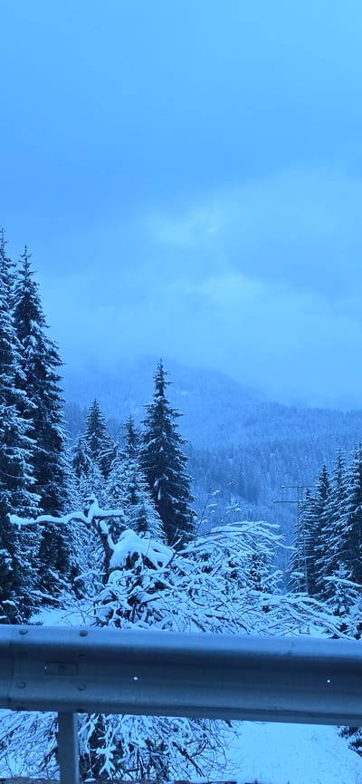 The image displays a serene winter mountain landscape in Stoikite, Bulgaria, characterized by a dominant blue hue, suggesting either natural light conditions or specific photographic processing. The scene is static, devoid of human activity.

In the foreground, a dark gray metal guardrail runs vertically along the right side of the frame (when the image is viewed in its intended horizontal orientation). Adjacent to the guardrail and extending into the mid-ground are numerous bare tree branches and bushes heavily laden with fresh, white snow, creating intricate patterns.

The mid-ground is dominated by a dense coniferous forest, with tall evergreen trees like firs or spruces covered in snow. These trees vary in height, with some appearing closer and more defined, while others recede into a soft, hazy blue. Faintly visible among the trees in the mid-distance are what appear to be utility poles or power lines, hinting at human infrastructure within the natural setting.

The background features soft, rolling mountain contours, almost entirely obscured by a thick, blue-tinted haze or mist, which blends seamlessly with the overcast sky. The sky itself is a uniform, pale blue, with faint, lighter patches suggesting obscured clouds. The overall weather appears to be cold and overcast, with recent snowfall blanketing the landscape. No visible text is present in the image. The cool color palette and deep snow convey a sense of peaceful, isolated winter wilderness.