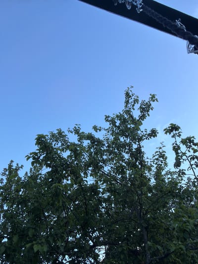 The image shows a view looking up at a clear blue sky, with the branches and leaves of a dense green tree dominating the right side of the frame. A dark, angled object, possibly a pole or support structure, is visible in the upper left corner, with a dark rope and metal chain attached to it. The leaves are a deep green, suggesting a summer or early autumn day. The light suggests it is daytime, likely late morning or afternoon, with no strong shadows to indicate early morning or late evening. The scene is outdoors, with the sky and foliage indicating a natural setting, possibly a park or backyard. There is no text visible in the image.