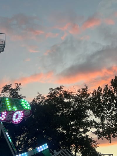 This is a vertical, medium shot of a carnival ride at dusk, viewed from a low angle, with the sky and trees dominating the upper half of the frame. The sky is a soft gradient of pale blue and grey, with streaks of pink and orange clouds, suggesting sunset. Silhouetted against the sky are the dark, leafy branches of trees. A portion of a brightly lit carnival ride is visible in the lower left corner. The ride features large, illuminated numbers "360" in green, pink, and white lights, along with decorative pink and green accents. The structure of the ride, with metal framing and more strings of lights, extends downwards and to the right. A tall, metal lattice structure is visible in the upper left corner, also silhouetted against the sky. The scene is set in Golubitskaya, Russia, a seaside resort town known for its amusement attractions. There are no people visible in the image.