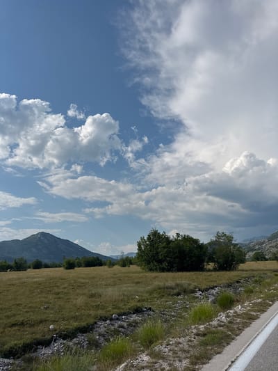 This is an outdoor, eye-level, vertical-format photograph taken from the side of a paved road, likely in the rural area of Dragalj, Montenegro. The scene depicts a vast, open field of dry, golden-brown grass dotted with rocks and some patches of green vegetation, leading towards a line of trees in the middle ground. Beyond the trees, a large, imposing mountain range dominates the background, its slopes covered in dark green foliage and rocky outcrops. The sky is a vibrant blue, filled with a mix of fluffy white cumulus clouds and more diffused, greyish clouds, suggesting a dynamic weather pattern. A portion of the road, with a white line marking its edge, is visible in the lower right corner of the frame. There are no people or animals present in the image.