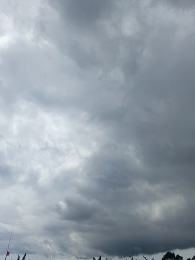 The image displays an overcast sky heavily populated by dense, dark gray and lighter gray stratocumulus clouds over the city of Ngọc Tụ, Vietnam. The cloud cover occupies the vast majority of the frame, exhibiting varying levels of thickness and illumination. At the bottom left, a thin, light-colored pole or wire extends diagonally upwards, with a small red object partially visible near its base. Along the lower edge of the frame, dark, indistinct silhouettes consistent with the tops of trees or dense foliage are visible against the cloudy background, with a more defined cluster of dark green tree canopy present on the far right. No individuals, specific actions, or direct interactions are discernible.