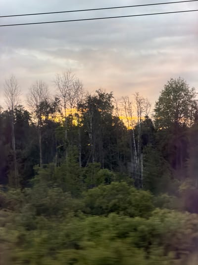 The image shows a landscape scene, likely taken in a wooded or semi-rural area near Arsk, Russia. The foreground features a dense grouping of trees and vegetation with varying shades of green suggesting different species or stages of growth. Mixed in are some deciduous trees without leaves, their bare branches silhouetted against the sky. The background reveals a sky with a palette of grey and pale yellow, indicating either sunrise or sunset. A faint glow of light can be seen in the gaps between the trees, enhancing the time of day. Two black power lines stretch across the left of the frame. The general mood is serene and peaceful.