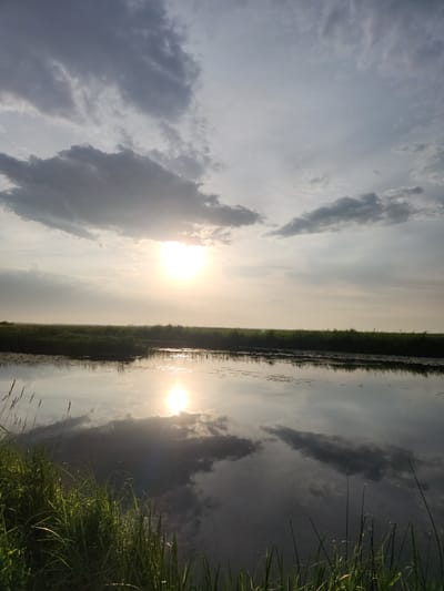 The image depicts a natural landscape at sunset or sunrise, likely in the vicinity of Atameken, Kazakhstan. The foreground features lush green grass and reeds bordering a calm body of water, possibly a river or lake. The water's surface reflects the sky and the sun, creating a mirror image of the clouds and a bright, diffused light source. The horizon is marked by a flat expanse of green vegetation, suggesting wetlands or fields. The sky is partially overcast with scattered clouds, some dark and dramatic, others lighter and wispy. The sun, a bright orb, is positioned low in the sky, casting a warm, golden light that illuminates the scene and creates a soft glow on the water. The overall impression is one of natural tranquility and the ephemeral beauty of twilight. There are no people or specific man-made structures visible in the image, emphasizing the natural environment.