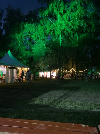 The image captures an outdoor night scene within the Sremski Karlovci Municipality, Serbia, depicting an illuminated park-like setting. The foreground features a reddish-brown wooden surface, likely a bench or table edge, with green grass and dirt patches beyond it, partially illuminated by a diagonal light beam.
To the left, a prominent white marquee tent with a pointed roof stands. Its exterior is adorned with small, colorful flags. Inside the tent, several individuals are visible, seated at tables. A group of approximately four people stands near the tent's entrance, engaging in conversation or embrace. A white wheelbarrow is positioned nearby.
The central and right portions of the midground are occupied by numerous trees, many of which are strung with warm, glowing string lights, creating a festive ambiance. Hammocks are visible suspended between some trees, and several individuals are scattered throughout this area, some walking or standing. One person is seen walking towards the right, carrying a flat object. Further back on the right, another smaller white tent is partially visible, also illuminated by string lights.
The upper section of the image showcases the dense canopy of trees against a dark blue night sky. A significant number of these trees, particularly in the upper-left and central areas, are intensely illuminated with bright green light, providing a striking contrast to the darker surrounding foliage and sky.