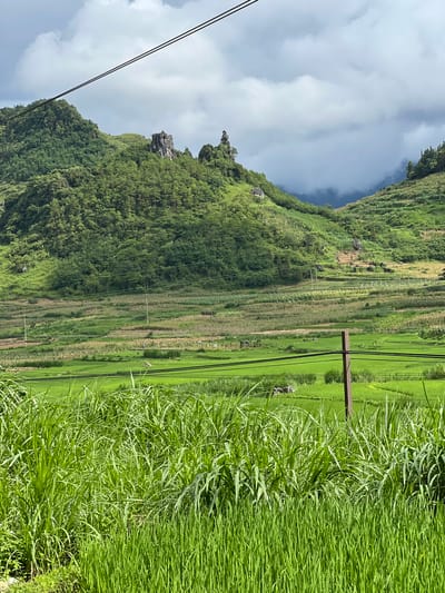 This image depicts a scenic rural landscape in Quản Bạ Commune, Vietnam. The foreground is dominated by lush, tall green grass, obscuring the lower portions of the scene. Beyond this, terraced fields of varying shades of green and brown stretch across a gently sloping valley. These fields appear to be cultivated with crops like rice or corn, with some areas showing signs of recent harvesting or planting. Scattered throughout the fields are a few small, dark figures, possibly people working or tending to the crops, and several wooden poles supporting overhead wires. In the mid-ground, a narrow road or path winds through the agricultural landscape. The background features rolling hills covered in dense green vegetation, with jagged rock formations protruding from the summits of some of the peaks. The sky above is a mix of cloudy gray and patches of lighter sky, suggesting an overcast or transitional weather condition. The overall impression is one of a tranquil, agriculturally active, and naturally beautiful mountainous region.