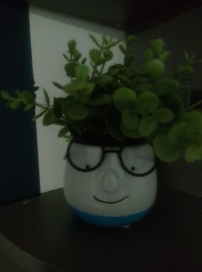 The media file shows a close-up, slightly blurry, low-light shot of a decorative planter shaped like a cartoonish face with glasses. The planter is white with blue accents and has a smiling mouth. It holds a cluster of artificial green foliage. The planter sits on a dark shelf, which is part of a larger shelving unit, with a white and dark blue background behind it. The lighting suggests it could be indoors during the evening or in a dimly lit room. There is no text visible in the image. The overall impression is of a quirky and cheerful desk or shelf decoration.