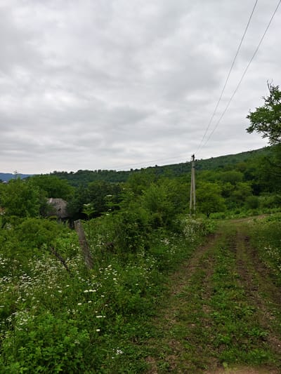 A dirt road curves through a rural landscape in Sherdy-Mokhk, Russia. The road is flanked by dense green foliage and wildflowers. In the distance, rolling hills covered in trees rise under a cloudy sky. A single utility pole with wires stands near the road, and a dilapidated structure, possibly a shed or an old house, is partially visible through the trees. The scene appears to be set in a tranquil, natural environment, possibly in the countryside or on the outskirts of a village. There are no people or animals visible in the image.