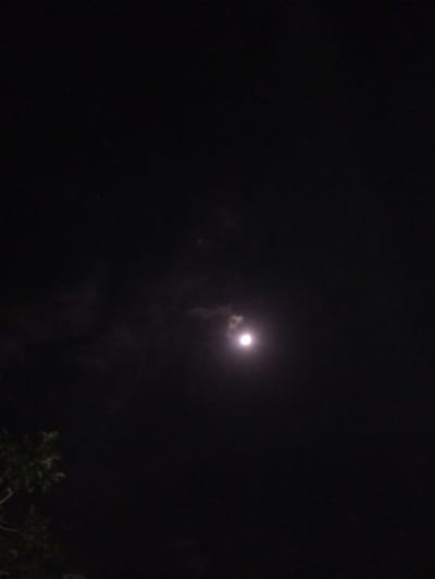 The image shows a dark night sky with a bright, full moon. The moon is partially obscured by thin clouds. In the lower left corner, the dark silhouette of tree branches is visible. The scene is set in Tibojong, Indonesia.
