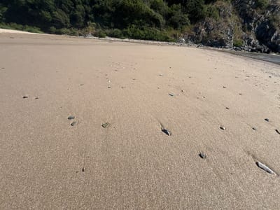 The image depicts a sandy beach with gentle waves lapping the shore. Lush green foliage covers the hillsides in the background, with rocky outcrops visible on the right side. The sand is speckled with small pebbles and shells. The scene is tranquil and natural, suggesting a secluded coastal location. This is likely the beach in Rezovo, Bulgaria, a small village known for its rugged coastline and natural beauty.