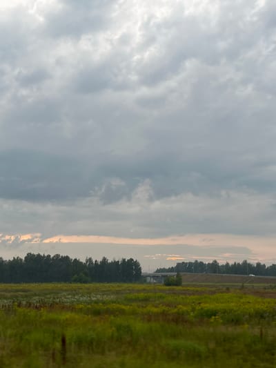 This image depicts a wide, rural landscape under a heavily clouded sky. The foreground is dominated by a field of green grass and wildflowers, with hints of yellow and white blooms. A line of dark green trees forms a dense backdrop across the middle ground. Beyond the trees, a raised highway infrastructure is visible, with a bridge spanning over an area. Several vehicles are present on the highway, and streetlights are intermittently spaced along its length. The sky is a uniform grey, with some lighter patches indicating the direction of the sun, possibly at dusk or dawn. The location is identified as Tainovo (Sitnikovskii S/S), Russia.