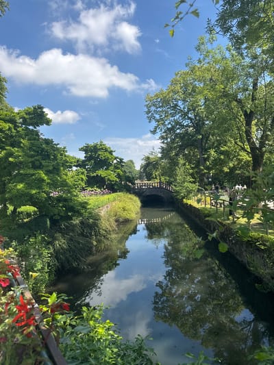 In Cambron-Casteau, Belgium, a canal flows through a verdant park on a clear, sunny day. Lush green trees line both sides of the canal, their leaves reflecting on the calm water. A stone bridge arches over the canal in the distance, with people strolling along the path beside it. The foreground is adorned with vibrant red flowers, adding a splash of color to the scene. The sky above is a brilliant blue, dotted with fluffy white clouds.