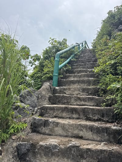 A low-angle, eye-level shot captures a concrete staircase ascending a rocky, overgrown incline in Tam Thanh Ward, Vietnam. The stairs, worn and textured, are flanked by dense green foliage on the right and tall, reedy grass on the left. A faded green handrail, constructed from what appears to be pipes, follows the curve of the stairs. The sky above is overcast with a muted, cloudy appearance. The scene is static and devoid of any human presence or activity.