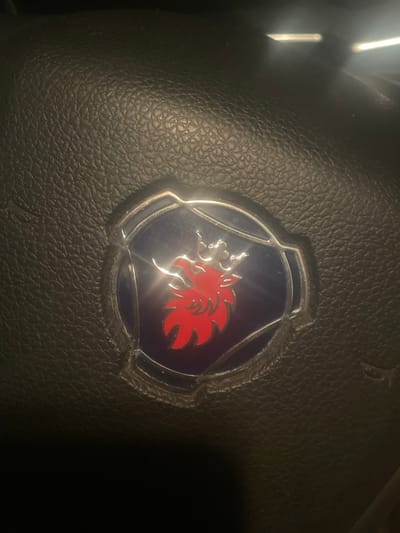 The image shows a close-up of a steering wheel, likely from a truck or commercial vehicle, with the Scania logo prominently displayed in the center. The Scania logo is a red griffin with a crown. The steering wheel is made of black leather with a textured finish. The lighting in the image suggests it was taken indoors, possibly in a garage or workshop, or within the vehicle itself at night. There are some reflections on the logo and the surrounding chrome trim, indicating artificial light sources. The background is dark and out of focus, providing no additional context about the specific location within the city of Sinsheim, Germany.