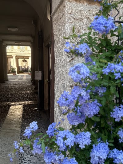 The image depicts an arched walkway leading to a courtyard, likely within a historic building in Trento, Italy. The walkway has a cobblestone floor, with sunlight casting shadows and reflections. On the right side of the walkway, a wall of rough-hewn stone is visible, with a cluster of vibrant blue flowers in the foreground. A signpost with Italian text, "PORTINERIA" and an arrow pointing right, is positioned near a wooden door on the right. The courtyard beyond the walkway features classical architecture with columns and arched openings, a decorative fountain, and potted plants. The scene appears quiet and tranquil, suggesting it might be early morning or late afternoon.