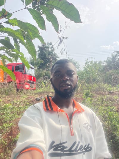 A man is standing in an overgrown field in Ogbe, Nigeria. He is wearing a white jacket with orange accents and the word "Valley" written in black script. Behind him, a red and yellow vehicle is visible amidst the vegetation. The background includes trees and a sky with high-hanging electrical wires. A leafy plant is in the foreground.