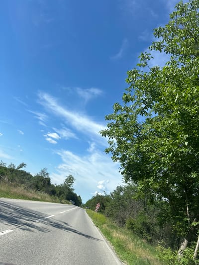 The image depicts a clear blue sky with scattered white clouds above a winding asphalt road. On the right side of the road, a lush green tree with dense foliage dominates the foreground. The road is bordered by green grass and vegetation, with trees and bushes lining the sides. In the distance, a speed limit sign of 70 km/h is visible. The road appears to be in a rural area, possibly on the outskirts of Koilovtsi, Bulgaria, given its scenic and natural surroundings. There are no people or specific structures immediately visible in the scene.