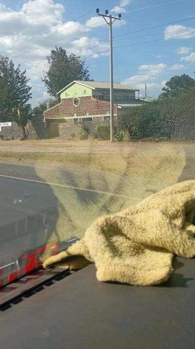 A partially obstructed view from inside a vehicle shows a building with the name "PELICAN" visible on its facade. The building has a unique architectural design with brickwork and a green upper section. An electrical pole stands near the building. The foreground is dominated by a towel on the dashboard, partially obscuring the road.