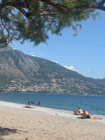 The image, rotated 90 degrees counter-clockwise, captures a vibrant beach scene under a clear blue sky, likely in Anatolikos Sinikismos, Greece.

On the left, a large tree with a rough, brown trunk and delicate green foliage frames the view, extending into the bright sky. The foreground and mid-ground feature a pebbly beach meeting the calm, blue-green waters of the sea.

Several people are enjoying the sunny day. In the middle-right, a couple is relaxing on the beach; one person is kneeling, and another is lying down, seemingly sunbathing. Further along the shoreline, another individual reclines on a sun lounger, while someone else stands partially in the shallow water. A lone swimmer is visible in the distant sea.

The backdrop is dominated by a large, steep mountain range covered in dense green vegetation and interspersed with numerous white buildings that cascade down its slopes towards the coastline. A few wispy white clouds are scattered across the otherwise clear blue sky above the mountain. The strong sunlight casts visible shadows, indicating it is daytime. The overall impression is one of a serene and leisurely coastal environment. No visible text is present in the image.