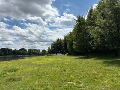 A wide, low-angle, outdoor, natural landscape photograph shows a grassy bank sloping down to a calm river on the left. The river stretches into the distance, reflecting the sky. On the right side of the frame, a dense row of tall, leafy green trees forms a backdrop. The foreground is dominated by a lush green meadow, dotted with small yellow flowers. The sky above is a vibrant blue, filled with large, fluffy white clouds against a darker grey cloud layer. The scene is bathed in natural sunlight, casting shadows from the trees onto the grass. The location is identified as Varnița, Moldova.