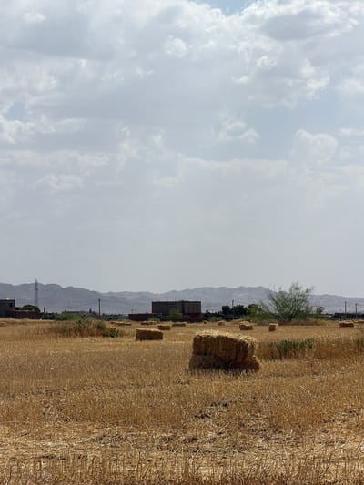 The scene depicts a harvested field in Jbilate, Morocco, with bales of hay scattered across it. The sky is overcast with thick clouds, casting a soft light on the landscape. In the distance, low mountains are visible against the horizon. The ground is covered with dry, golden stubble, evidence of the recent harvest. A scattering of buildings and trees are discernible along the edge of the field. A power line tower is also apparent.