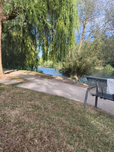 The image depicts a park scene in Chelles, France, on a sunny day. A paved pathway runs alongside a body of water, likely the Marne River, which is visible in the background with gentle ripples. To the left, a large weeping willow tree with long, drooping branches dominates the foreground, casting shadows on the path and the grassy bank. Beyond the river, lush green trees and vegetation line the opposite bank. In the right foreground, a dark metal park bench with a white towel draped over it sits next to the path, offering a place to rest. The grass in the immediate foreground is dry and sparse in some areas, with scattered green patches. The overall atmosphere is peaceful and natural.