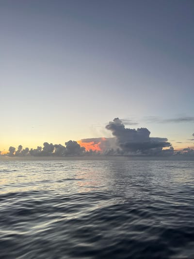 The image displays an expansive seascape at either sunrise or sunset, observed from the Tasman Sea off the coast of Wollongong City Council, Australia. The lower half of the frame shows a dark, rippled ocean surface, exhibiting subtle reflections of orange and yellow light originating from the horizon. The upper half depicts a vast sky, transitioning in color from a light blue-grey at the top to pale yellow and orange hues closer to the horizon line. A continuous band of diverse cumuliform clouds stretches horizontally across the middle ground. Towards the center-left, several dark grey clouds are intensely backlit by a strong orange-red glow, indicative of the sun positioned below the horizon. A larger, complex cloud formation is visible on the right side of the frame. A small, dark, horizontally elongated object, identified as a distant aircraft, is discernible in the upper-left portion of the sky. No individuals, vessels, or specific man-made structures are present within the scene.