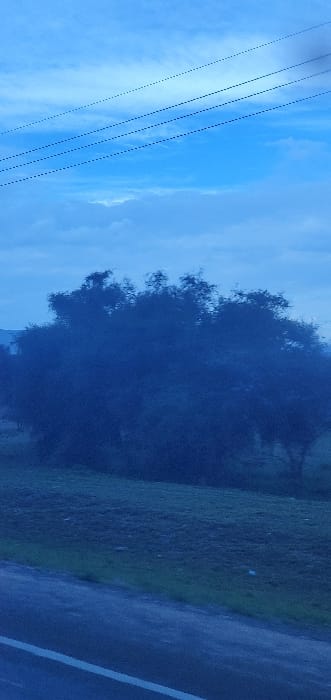 An outdoor scene in Mua ward, Kenya, is depicted under a blue sky partially obscured by white and light grey clouds. Three parallel, dark electrical or communication lines traverse the upper third of the frame, running diagonally from the upper left to the upper right. The middle ground is dominated by a dense, dark mass of trees or large bushes with an irregular canopy. Below the foliage, the terrain consists of dark green ground. The foreground features a dark paved road surface with a single white lane marking visible along its left edge. No individuals or active subjects are present. The lighting suggests either early morning, late evening, or an overcast daytime condition.