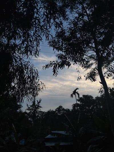 The image shows a view of the sky through silhouetted trees in Southkhali, Bangladesh. The sky is a mix of blue and white clouds. A tall palm tree is visible among other shorter trees. In the foreground, there are silhouetted plants and rooftops of buildings. Electrical wires run through the upper section of the image.