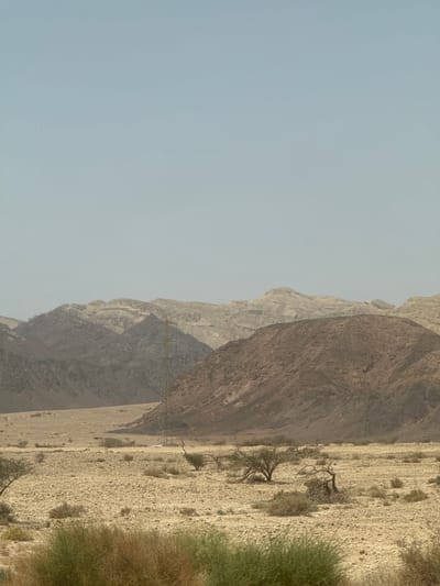 The image depicts a desert landscape in the Hevel Eilot Regional Council, Israel. A mountain range rises on the right side of the image, with varying shades of brown and gray rock formations. A power line crosses a part of the mountain. The foreground shows arid terrain with scattered shrubs and some dead trees. The left portion of the image is dominated by a light blue sky.