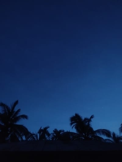 The image shows a nighttime scene in Southkhali, Bangladesh. Silhouetted palm trees are visible against a dark blue sky. The trees are positioned in the lower portion of the frame. There is a dimly lit horizontal structure, possibly a roof, at the very bottom. A single, faint light source, perhaps a star or distant light, is visible in the upper right area of the sky. The overall impression is one of darkness and silhouette.