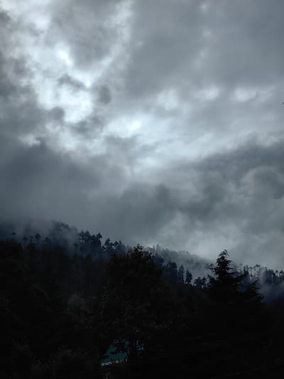 The image depicts a cloudy, overcast sky above a dense forest on a mountainside. The sky is filled with thick, grey clouds, with some lighter patches suggesting diffused sunlight. The trees are silhouetted against the sky, creating a dark, dramatic effect. The forest appears to be primarily conifer trees, with some of them shrouded in mist or fog. The overall atmosphere is somber and moody. The location is identified as Siyal, India. There are no people, animals, or specific man-made structures prominently visible in the scene, apart from what appears to be some faint electrical wires in the foreground.